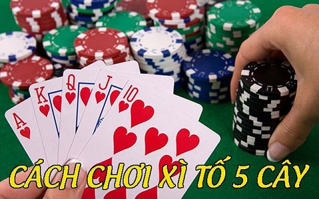 Quyền hành động khi chơi Xì tố Quyền hành động khi chơi Xì tố