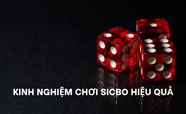 Chi tiết kinh nghiệm chơi sicbo hiệu quả nhất cho người chơi mới Chi tiết kinh nghiệm chơi sicbo hiệu quả nhất cho người chơi mới