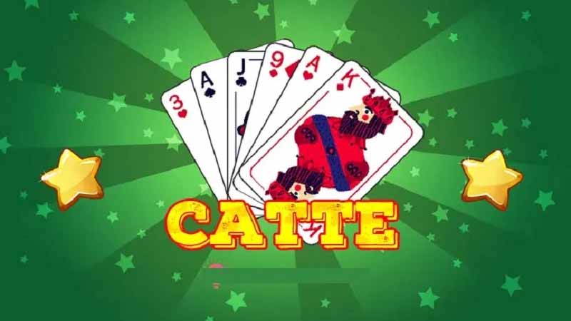 Toàn bộ thuật ngữ bài Catte người chơi nào cũng cần biết 